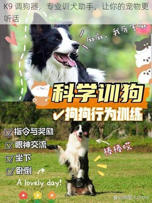 K9 调狗器，专业训犬助手，让你的宠物更听话