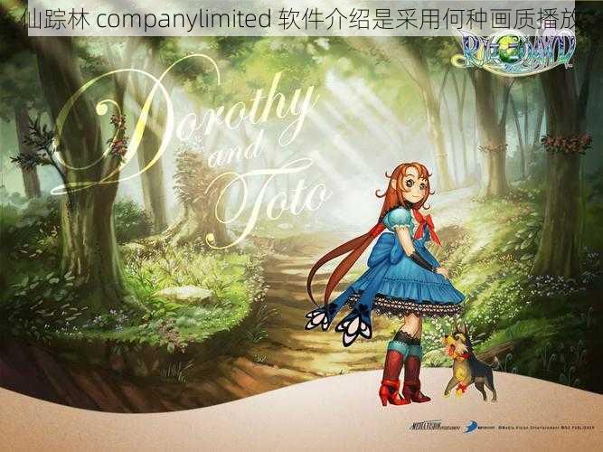 仙踪林 companylimited 软件介绍是采用何种画质播放