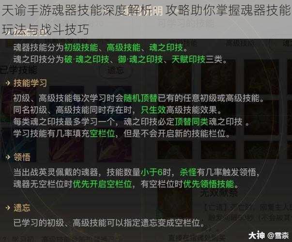 天谕手游魂器技能深度解析：攻略助你掌握魂器技能玩法与战斗技巧