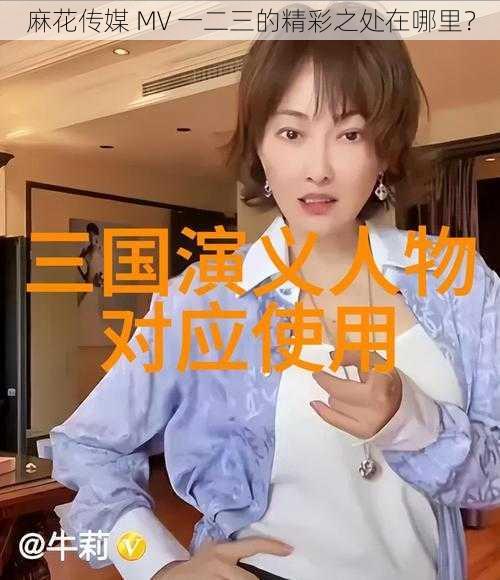 麻花传媒 MV 一二三的精彩之处在哪里？