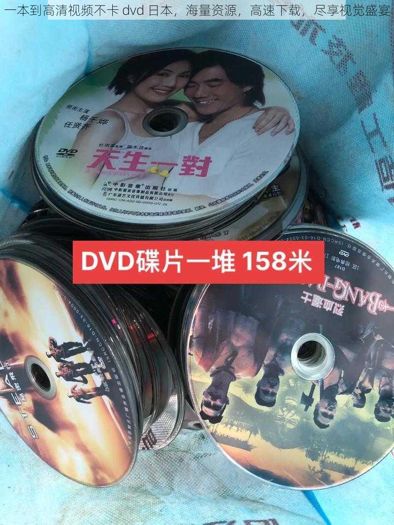 一本到高清视频不卡 dvd 日本，海量资源，高速下载，尽享视觉盛宴