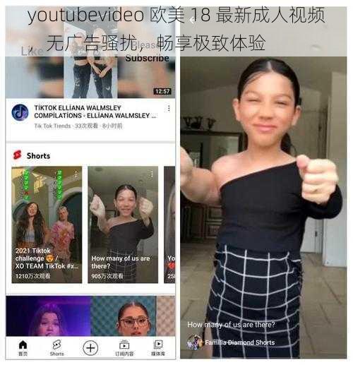 youtubevideo 欧美 18 最新成人视频，无广告骚扰，畅享极致体验