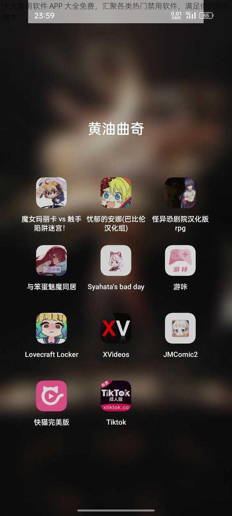 十大禁用软件 APP 大全免费，汇聚各类热门禁用软件，满足你的所有需求