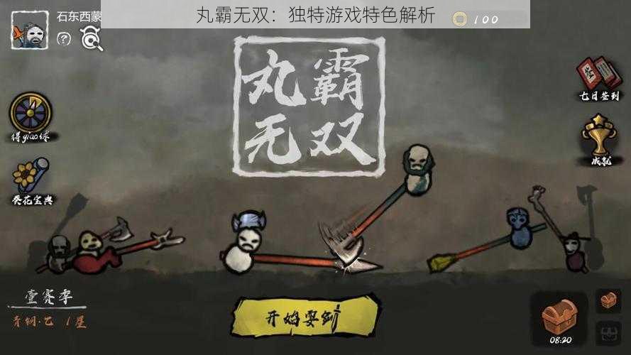 丸霸无双：独特游戏特色解析