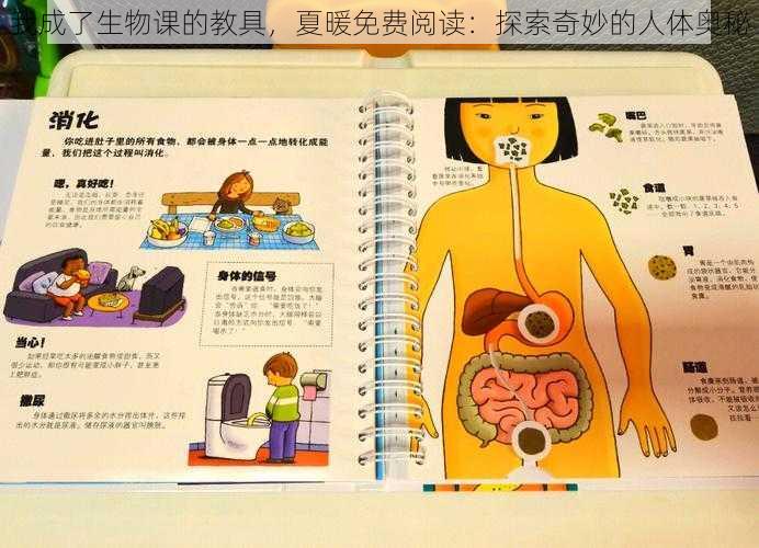 我成了生物课的教具，夏暖免费阅读：探索奇妙的人体奥秘