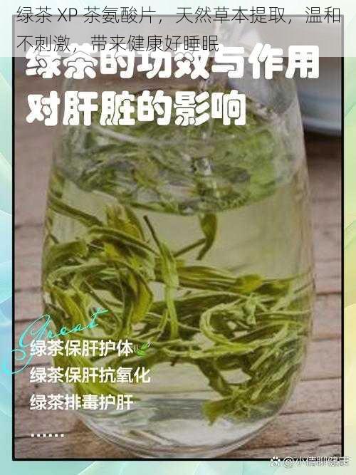 绿茶 XP 茶氨酸片，天然草本提取，温和不刺激，带来健康好睡眠