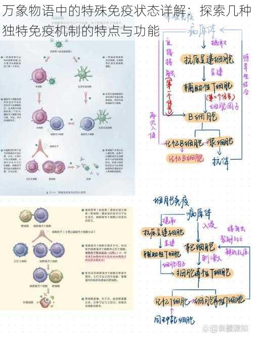 万象物语中的特殊免疫状态详解：探索几种独特免疫机制的特点与功能