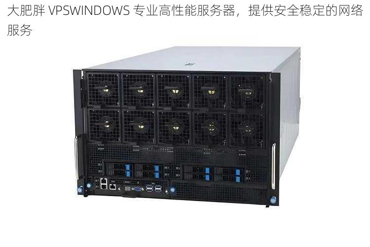 大肥胖 VPSWINDOWS 专业高性能服务器，提供安全稳定的网络服务