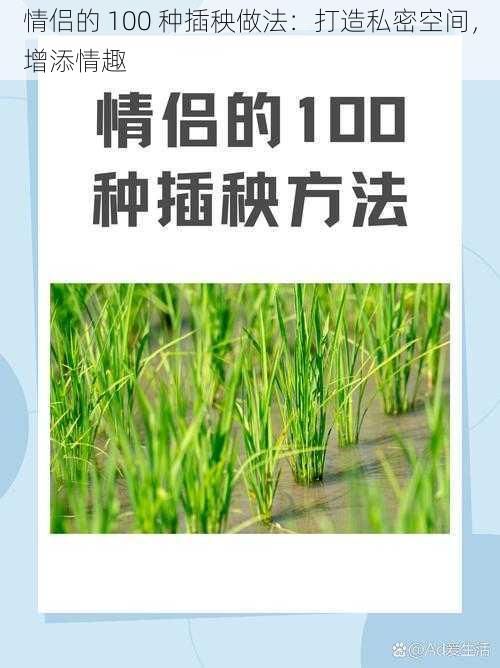 情侣的 100 种插秧做法：打造私密空间，增添情趣