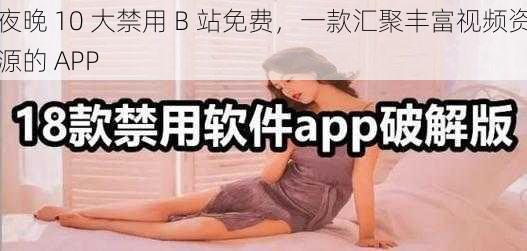 夜晚 10 大禁用 B 站免费，一款汇聚丰富视频资源的 APP