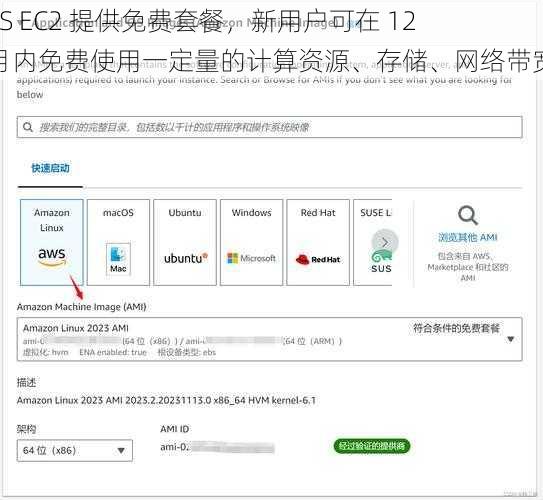 AWS EC2 提供免费套餐，新用户可在 12 个月内免费使用一定量的计算资源、存储、网络带宽等