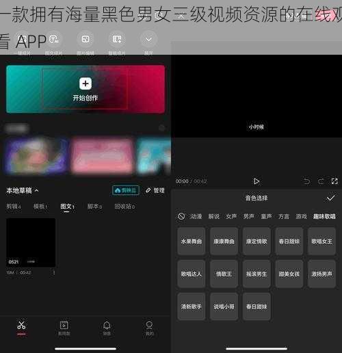 一款拥有海量黑色男女三级视频资源的在线观看 APP