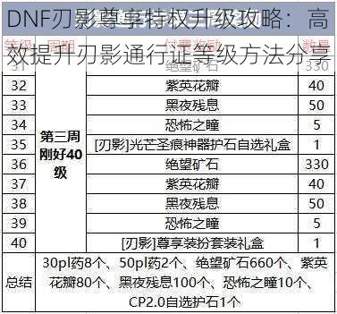 DNF刃影尊享特权升级攻略：高效提升刃影通行证等级方法分享