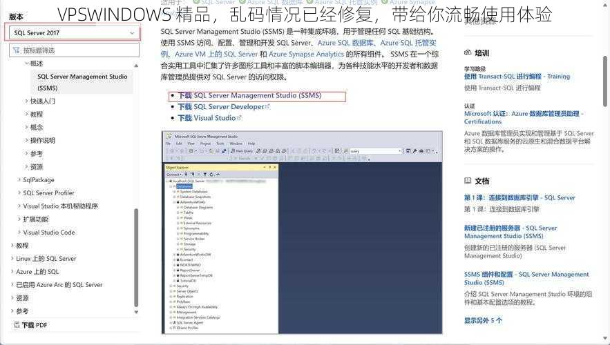 VPSWINDOWS 精品，乱码情况已经修复，带给你流畅使用体验