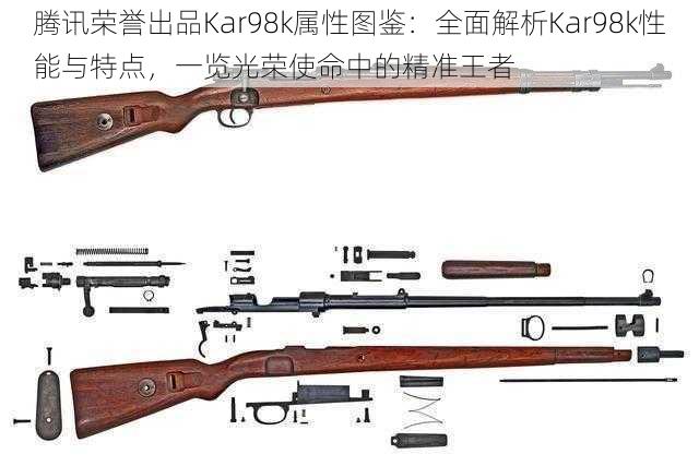 腾讯荣誉出品Kar98k属性图鉴：全面解析Kar98k性能与特点，一览光荣使命中的精准王者