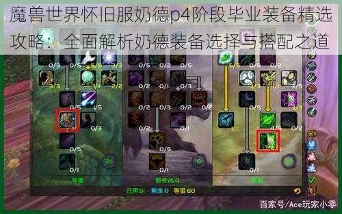 魔兽世界怀旧服奶德p4阶段毕业装备精选攻略：全面解析奶德装备选择与搭配之道