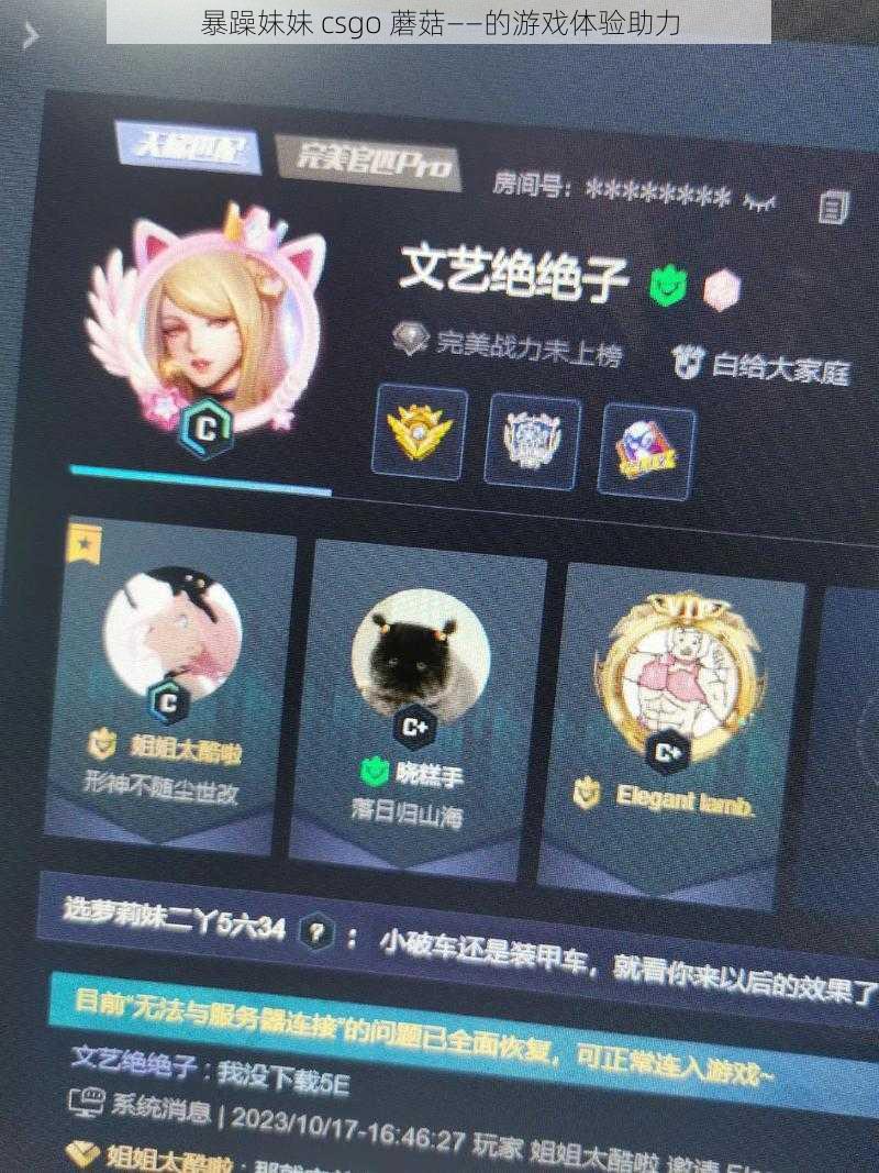 暴躁妹妹 csgo 蘑菇——的游戏体验助力