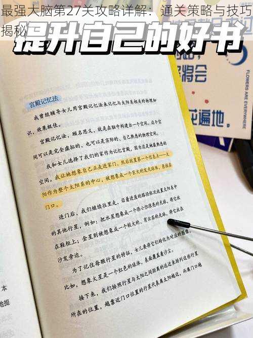 最强大脑第27关攻略详解：通关策略与技巧揭秘