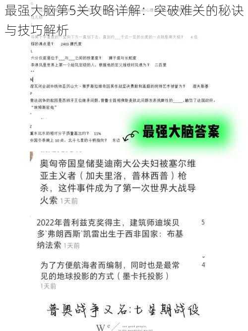 最强大脑第5关攻略详解：突破难关的秘诀与技巧解析