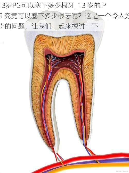 13岁PG可以塞下多少根牙_13 岁的 PG 究竟可以塞下多少根牙呢？这是一个令人好奇的问题，让我们一起来探讨一下