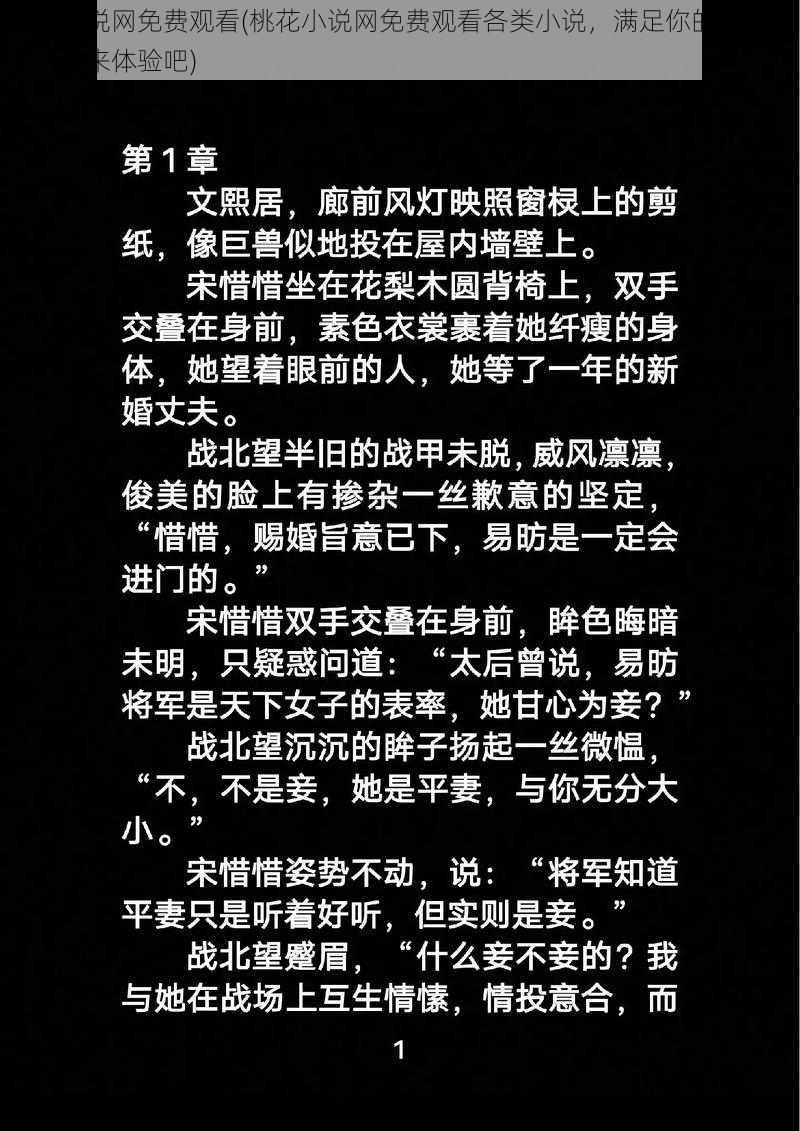 桃花小说网免费观看(桃花小说网免费观看各类小说，满足你的阅读需求，快来体验吧)