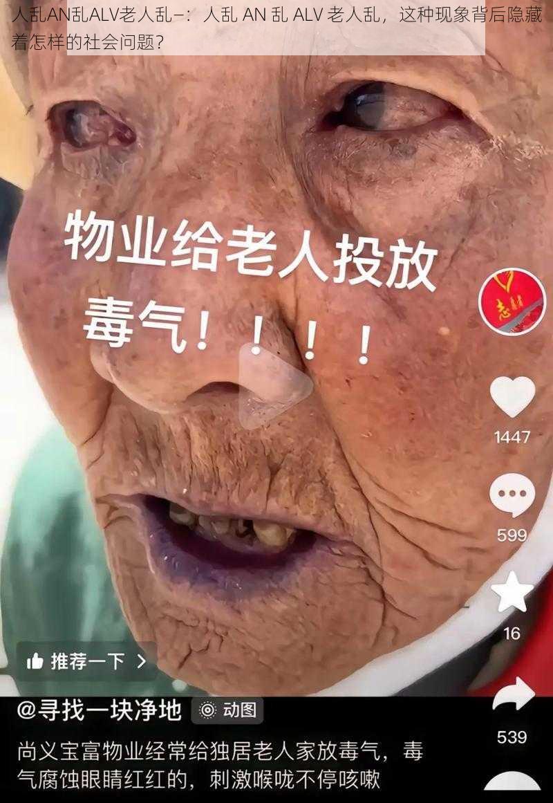 人乱AN乱ALV老人乱—：人乱 AN 乱 ALV 老人乱，这种现象背后隐藏着怎样的社会问题？