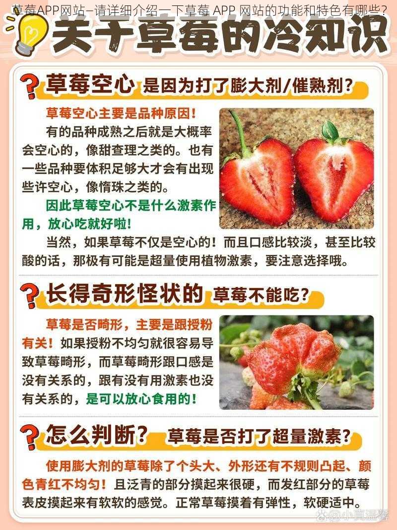 草莓APP网站—请详细介绍一下草莓 APP 网站的功能和特色有哪些？