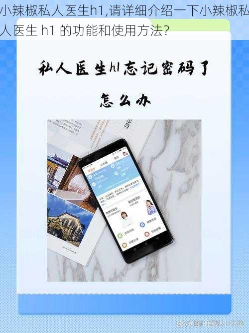 小辣椒私人医生h1,请详细介绍一下小辣椒私人医生 h1 的功能和使用方法？