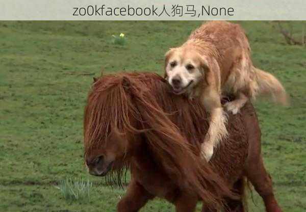 zo0kfacebook人狗马,None