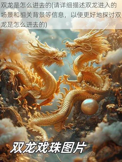 双龙是怎么进去的(请详细描述双龙进入的场景和相关背景等信息，以便更好地探讨双龙是怎么进去的)