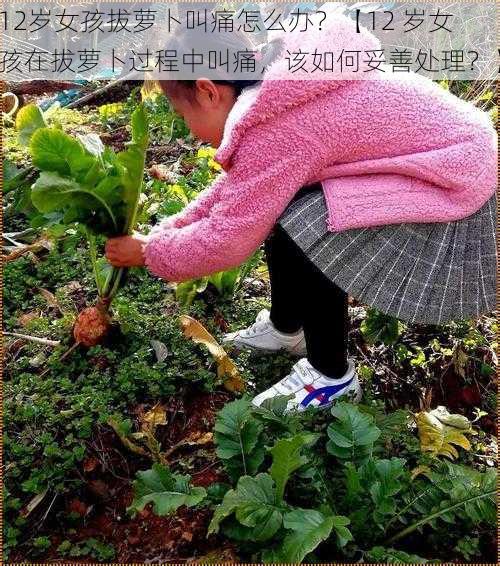 12岁女孩拔萝卜叫痛怎么办？【12 岁女孩在拔萝卜过程中叫痛，该如何妥善处理？】