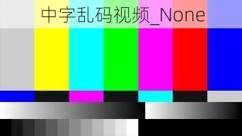 中字乱码视频_None