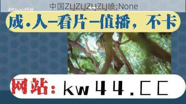 中国ZLJZLJZLJZLJ喷;None