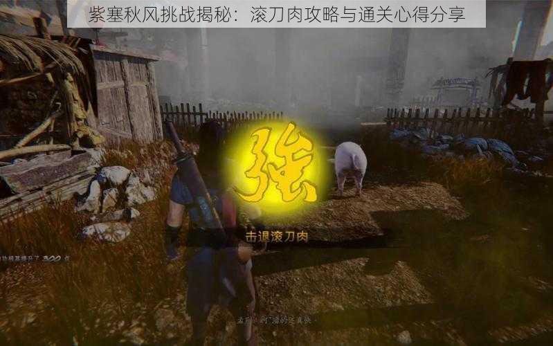 紫塞秋风挑战揭秘：滚刀肉攻略与通关心得分享