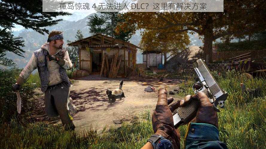 孤岛惊魂 4 无法进入 DLC？这里有解决方案