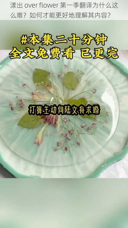 漾出 over flower 第一季翻译为什么这么难？如何才能更好地理解其内容？