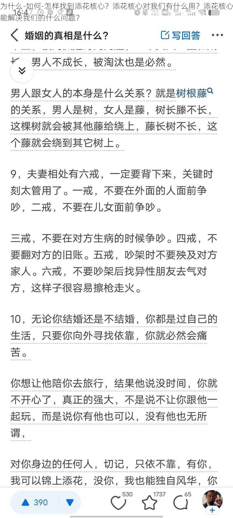 为什么-如何-怎样找到添花核心？添花核心对我们有什么用？添花核心能解决我们的什么问题？