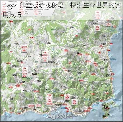 DayZ 独立版游戏秘籍：探索生存世界的实用技巧