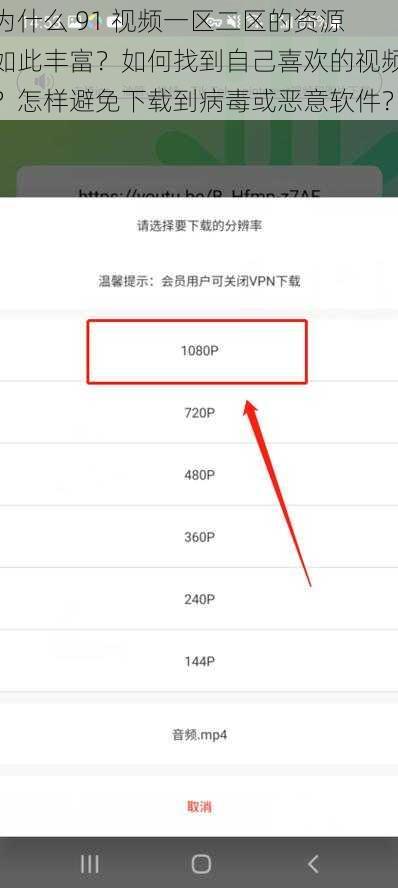 为什么 91 视频一区二区的资源如此丰富？如何找到自己喜欢的视频？怎样避免下载到病毒或恶意软件？