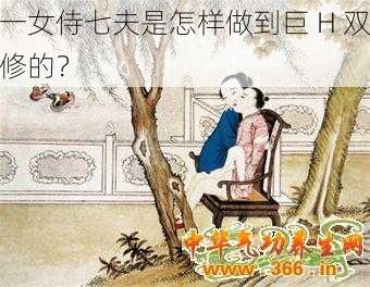 一女侍七夫是怎样做到巨 H 双修的？