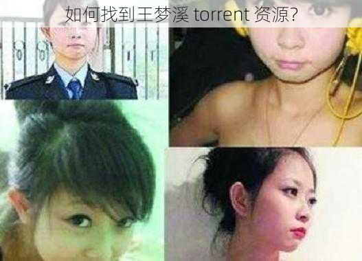 如何找到王梦溪 torrent 资源？