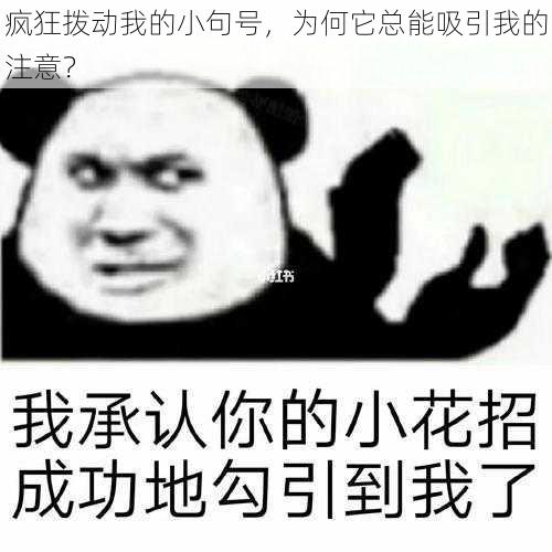 疯狂拨动我的小句号，为何它总能吸引我的注意？