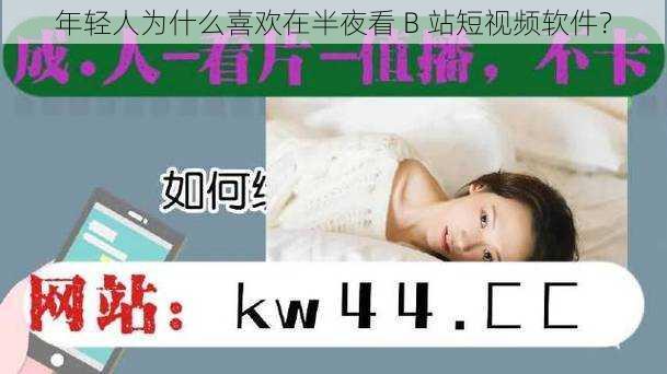 年轻人为什么喜欢在半夜看 B 站短视频软件？