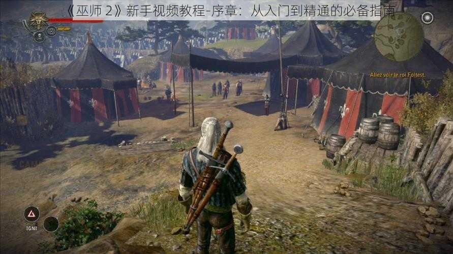 《巫师 2》新手视频教程-序章：从入门到精通的必备指南