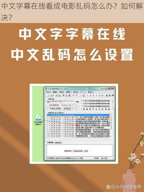 中文字幕在线看成电影乱码怎么办？如何解决？