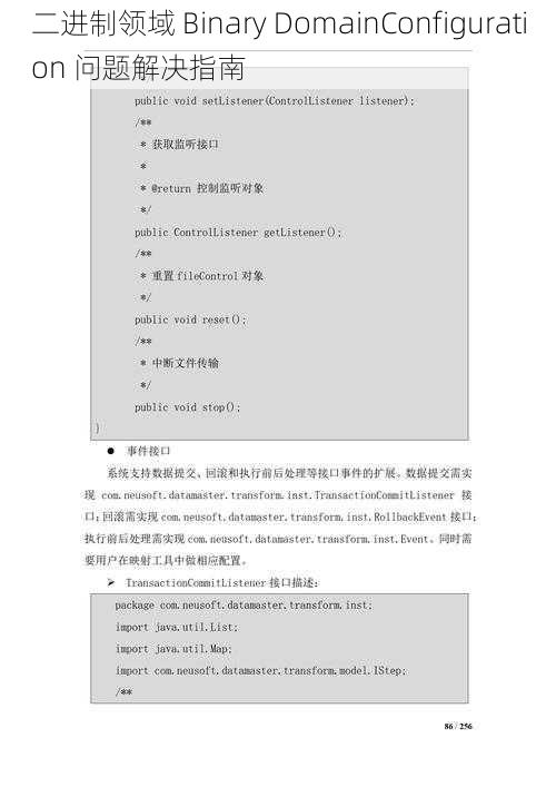 二进制领域 Binary DomainConfiguration 问题解决指南