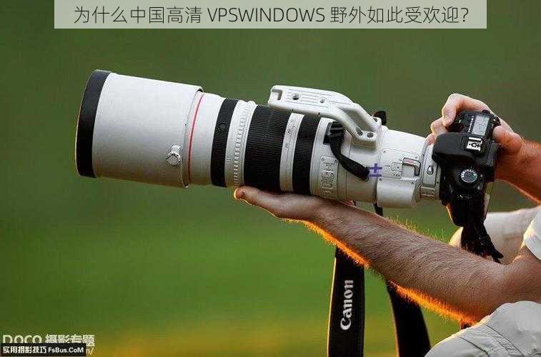 为什么中国高清 VPSWINDOWS 野外如此受欢迎？