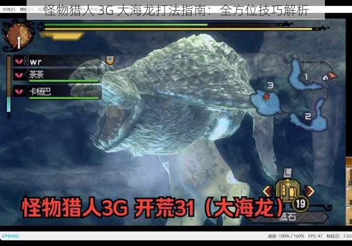 怪物猎人 3G 大海龙打法指南：全方位技巧解析