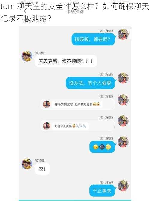 tom 聊天室的安全性怎么样？如何确保聊天记录不被泄露？