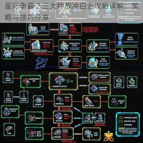 星际争霸 2 三大种族冲白金攻略详解：策略与技巧分享